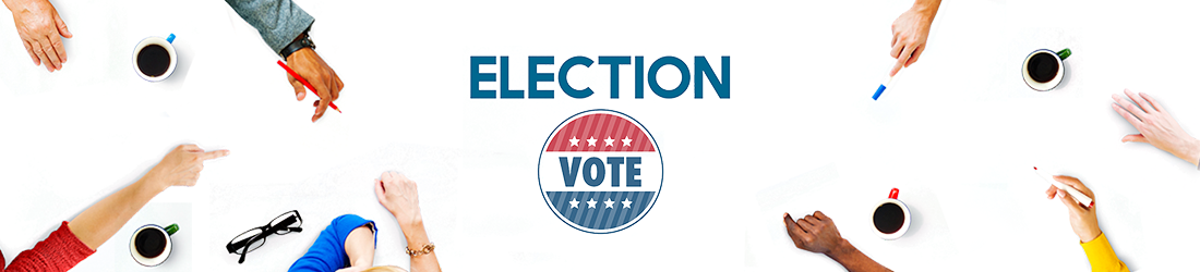 選挙情勢調査データ election vote